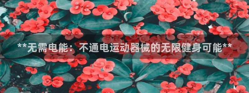 z6尊龙凯时旗舰厅首页：**无需电能：不通电运动器械