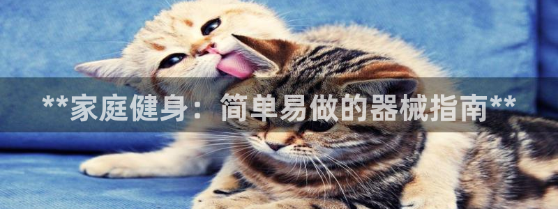 尊龙凯时 人生就是搏首页：**家庭健身：简单易做的器