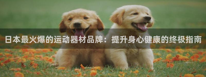 尊龙 中国：日本最火爆的运动器材品牌：提升身心健康的