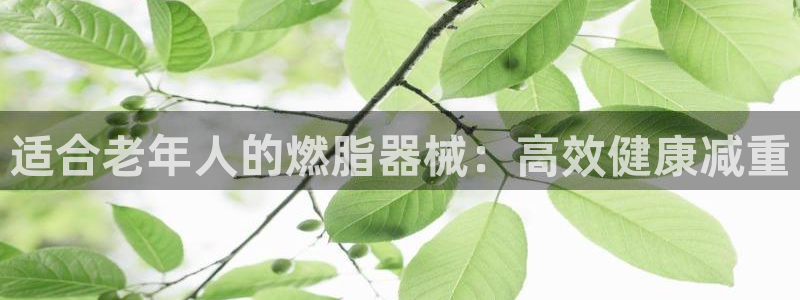 尊龙d88官网登录：适合老年人的燃脂器械：高效健康减