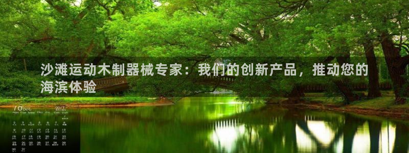 尊龙400：沙滩运动木制器械专家：我们的创新产品，推