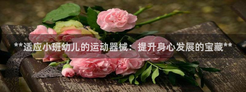 尊龙凯时最新平台登陆：**适应小班幼儿的运动器械：提