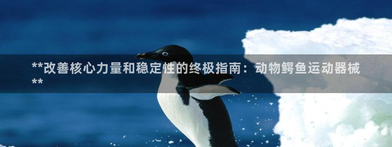 尊龙手机端下载：**改善核心力量和稳定性的终极指南：