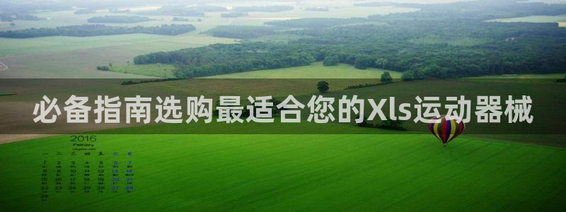 ZL尊龙凯时平台：必备指南选购最适合您的Xls运动器