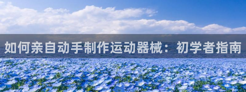 尊龙新版app：如何亲自动手制作运动器械：初学者指南