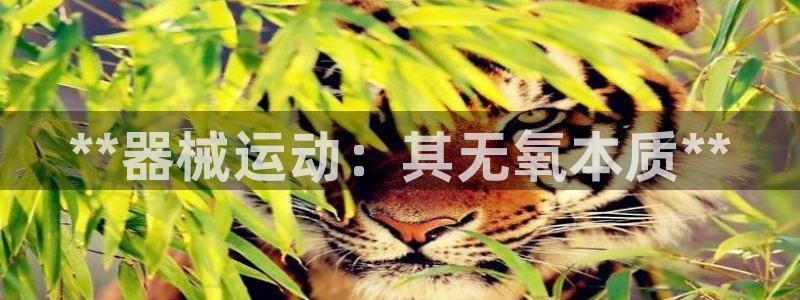 AG尊龙注册在线游戏：**器械运动：其无氧本质**