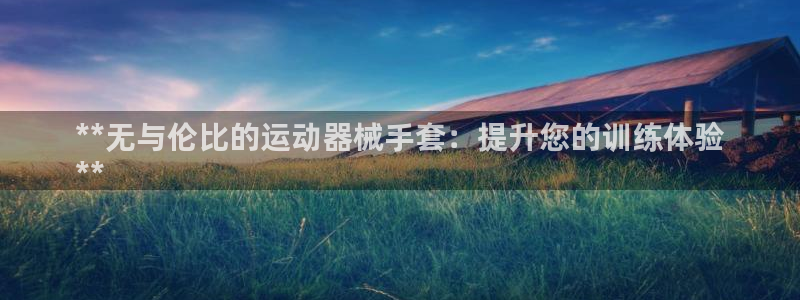 尊龙集团官网：**无与伦比的运动器械手套：提升您的训