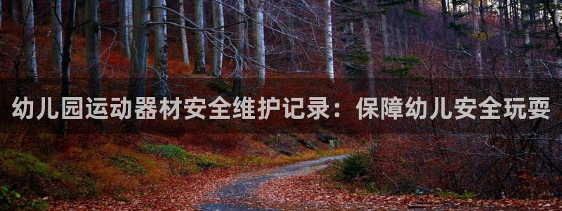 尊龙凯时怎么注销账号：幼儿园运动器材安全维护记录：保