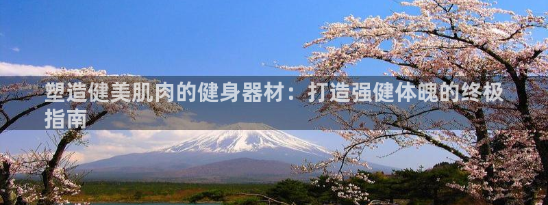 尊龙app官网登录：塑造健美肌肉的健身器材：打造强健