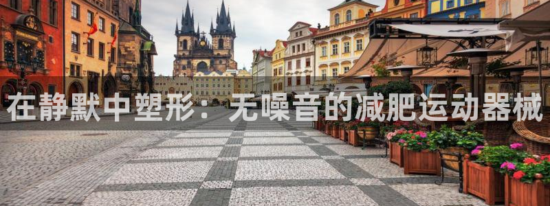 尊龙凯时是不是合法：在静默中塑形：无噪音的减肥运动器