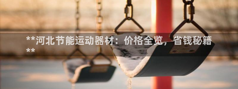凯时ag旗舰厅登录：**河北节能运动器材：价格全览，