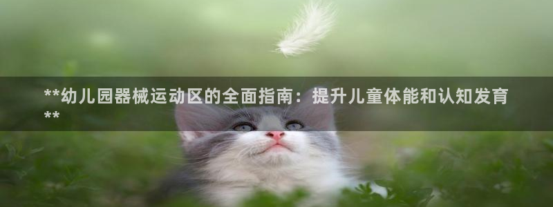 尊龙凯时防屏蔽网址：**幼儿园器械运动区的全面指南：