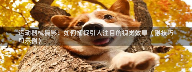 尊龙人生就是博一下下：运动器械摄影：如何捕捉引人注目