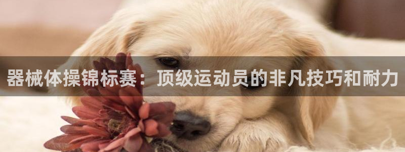 kb88凯时会员登录：器械体操锦标赛：顶级运动员的非