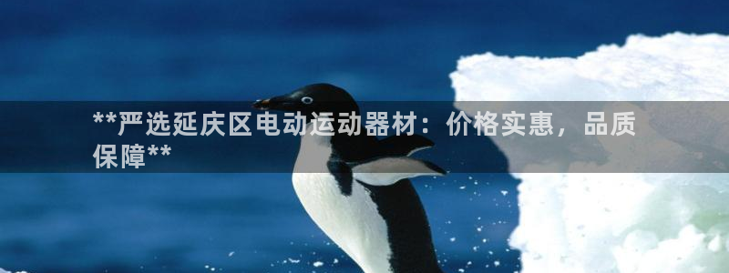 尊龙官网手：**严选延庆区电动运动器材：价格实惠，品