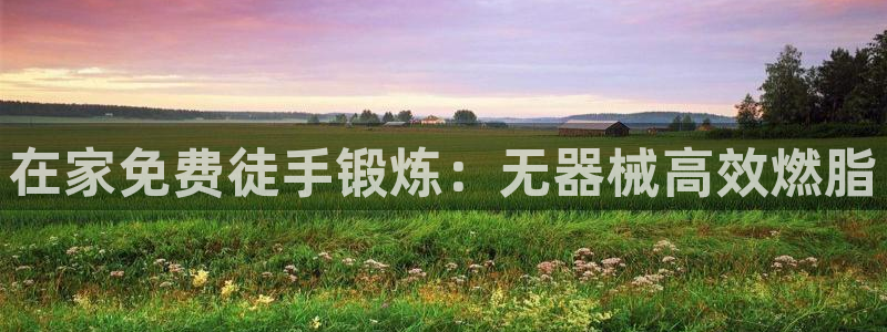 尊龙AG旗舰厅官网：在家免费徒手锻炼：无器械高效燃脂
