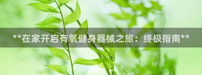 尊龙集团有限公司招聘：**在家开启有氧健身器械之旅：