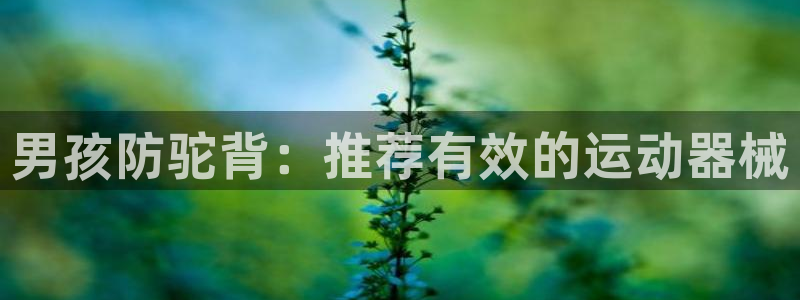 kb88凯时会员登录：男孩防驼背：推荐有效的运动器械