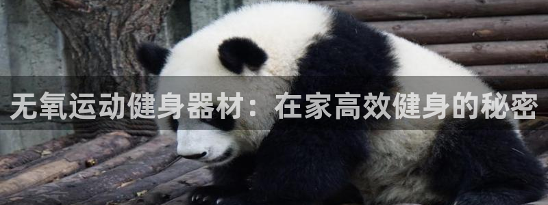 尊龙凯时产品系列：无氧运动健身器材：在家高效健身的秘