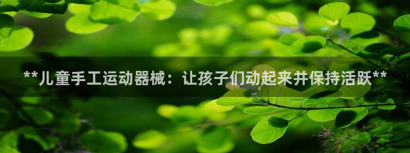 尊龙新版App下载：**儿童手工运动器械：让孩子们动