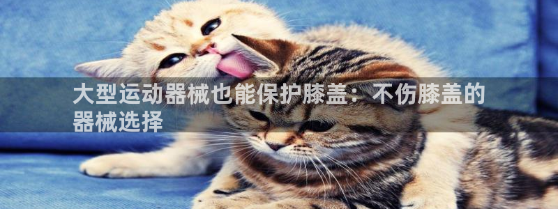 d88尊龙平台开户：大型运动器械也能保护膝盖：不伤膝