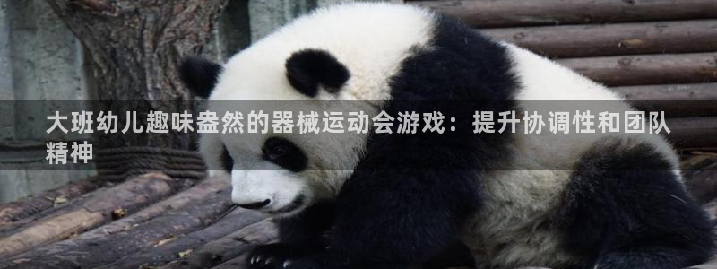 z6尊龙官方网站：大班幼儿趣味盎然的器械运动会游戏：