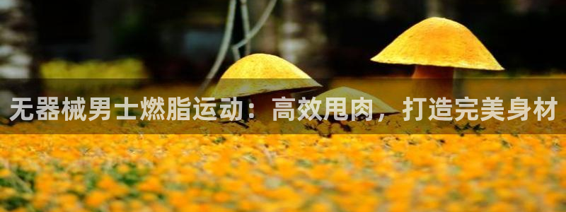 尊龙d88官网新版：无器械男士燃脂运动：高效甩肉，打