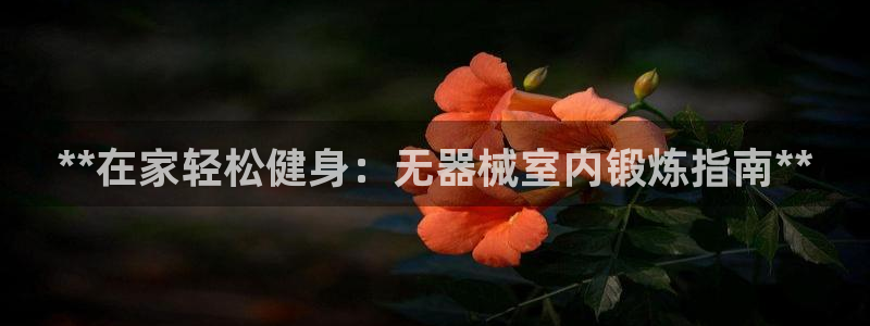 尊龙凯时人生就是搏官：**在家轻松健身：无器械室内锻