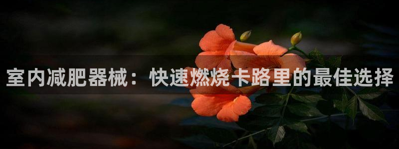 尊龙凯时人生就是搏客户：室内减肥器械：快速燃烧卡路里