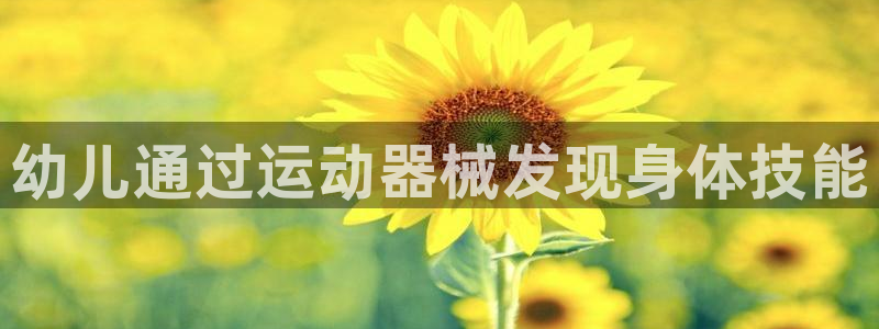 尊龙l1500：幼儿通过运动器械发现身体技能