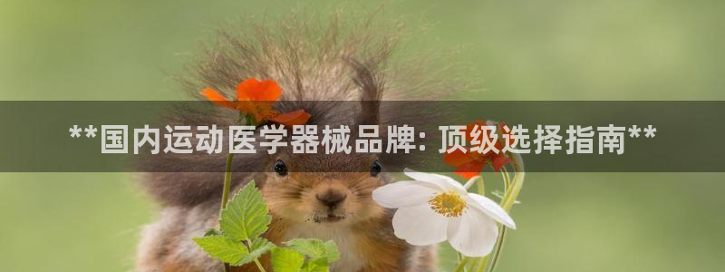 尊龙凯时官方网站：**国内运动医学器械品牌: 顶级选