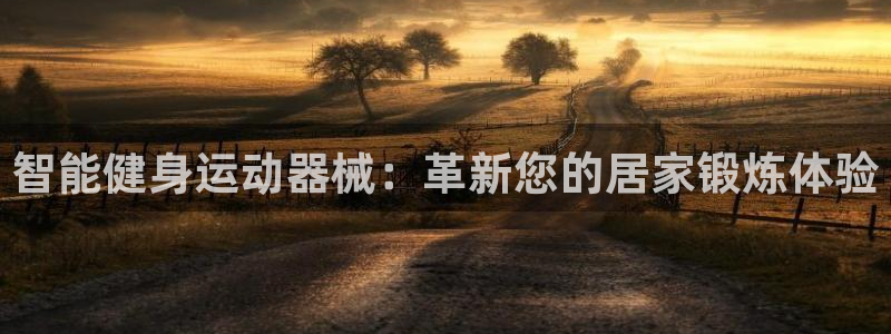 尊龙凯时电竞：智能健身运动器械：革新您的居家锻炼体验