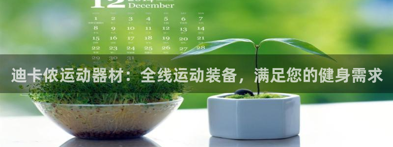 尊龙/人生就是博：迪卡侬运动器材：全线运动装备，满足