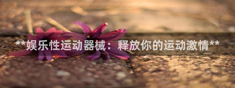尊龙凯时为什么输了钱：**娱乐性运动器械：释放你的运