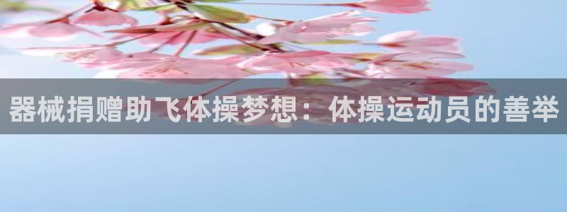 尊龙人生就是博：器械捐赠助飞体操梦想：体操运动员的善