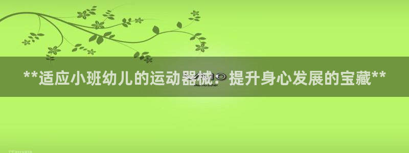 尊龙500价格：**适应小班幼儿的运动器械：提升身心