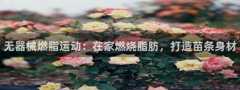 尊龙凯时网娱乐官网：无器械燃脂运动：在家燃烧脂肪，打