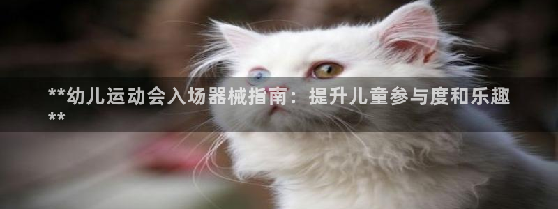 凯时效果怎么样：**幼儿运动会入场器械指南：提升儿童