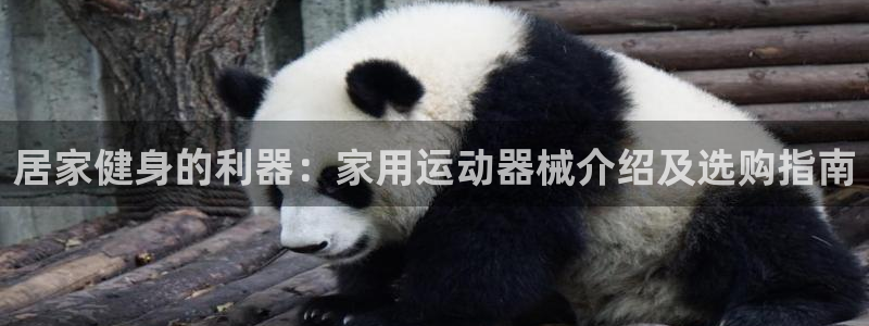 尊龙人生就是一博!：居家健身的利器：家用运动器械介绍