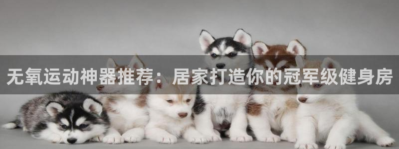 尊龙凯时网站怎么样：无氧运动神器推荐：居家打造你的冠
