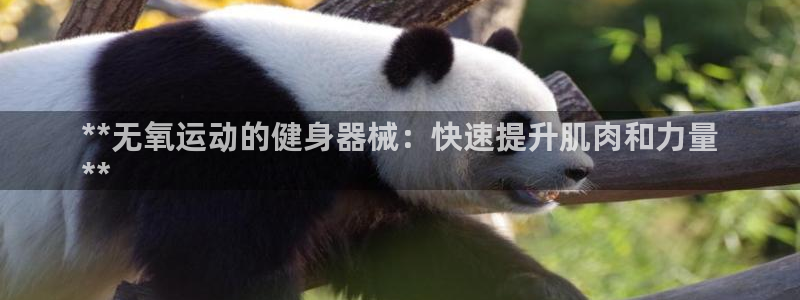 尊龙现金娱乐 下载：**无氧运动的健身器械：快速提升
