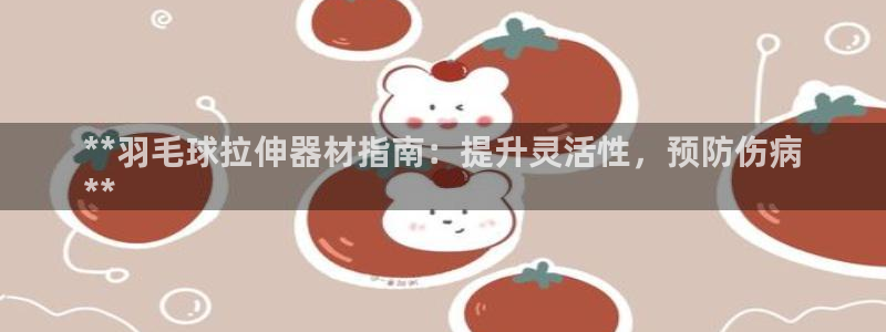 尊龙官方网站首页：**羽毛球拉伸器材指南：提升灵活性