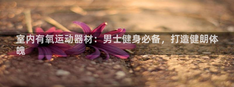 尊龙官网免费下载安装：室内有氧运动器材：男士健身必备