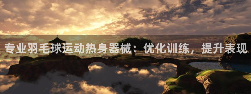 尊龙得过奥斯卡吗：专业羽毛球运动热身器械：优化训练，