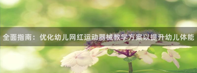 尊龙新版人生就是博!：全面指南：优化幼儿网红运动器械