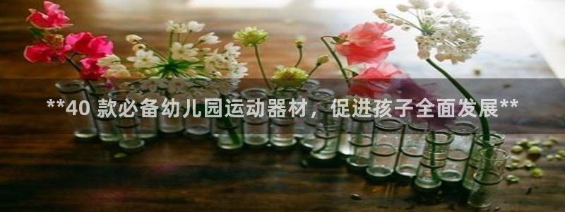 凯时k66会员登录：**40 款必备幼儿园运动器材，