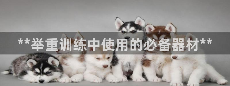 尊龙人生就是博登录准认来就送38：**举重训练中使用
