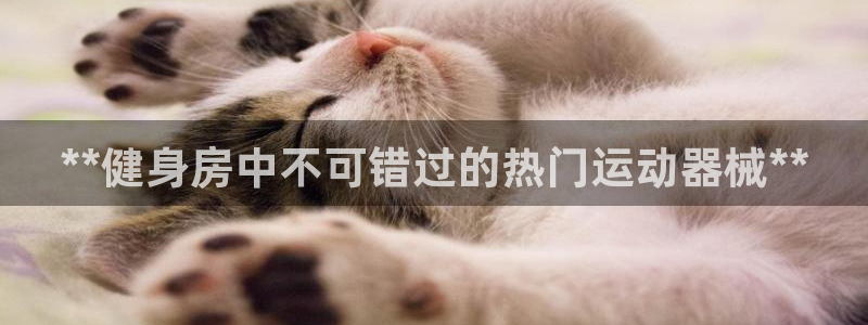 凯时k66官方发布：**健身房中不可错过的热门运动器