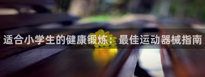 d88尊龙平台开户：适合小学生的健康锻炼：最佳运动器