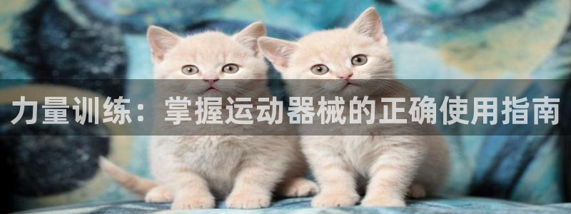 尊龙人生就是博管网：力量训练：掌握运动器械的正确使用
